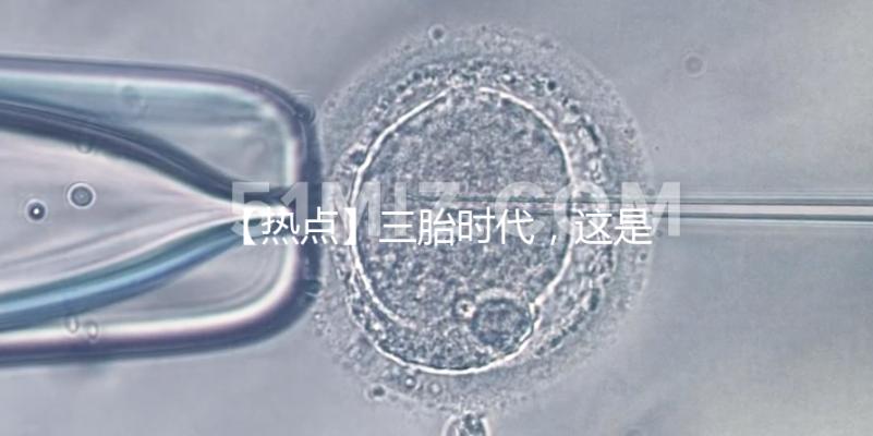 【熱點】三胎時代,這是父親打開“結(jié)”的正確方式