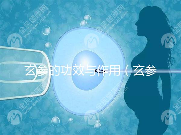 玄參的功效與作用（玄參傷腎還是補腎）