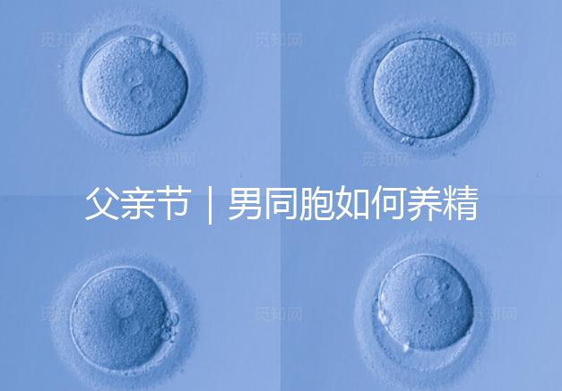 父親節｜男同胞如何養精蓄銳，一發即中？
