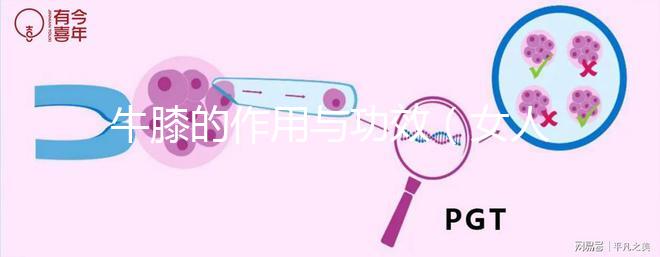 牛膝的作用與功效(女人吃牛膝的神奇功效)