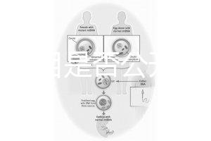 監(jiān)獄項(xiàng)目是否公開招標(biāo)（監(jiān)獄項(xiàng)目是否公開招標(biāo)文件）