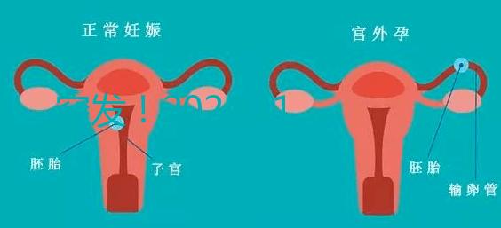 突發！2024.11.15，天津試管嬰兒納入醫保報銷（附14家醫保定點醫院）