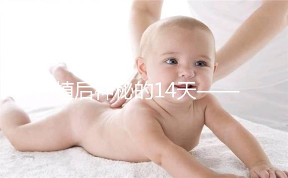 移植后神秘的14天——你的胚胎都發生了哪些變化？