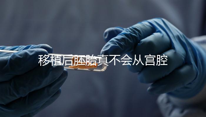 移植后胚胎真不會從宮腔掉出來!原因有這些...