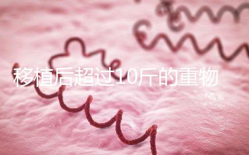 移植后超過10斤的重物別去搬，當心出現(xiàn)腹痛和陰道出血