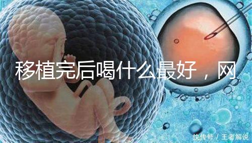 移植完后喝什么最好,網友推薦美味營養做法簡單大補湯