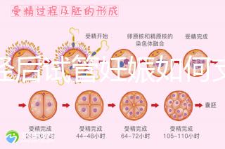 絕經后試管妊娠如何支持黃體戳，醫生：掌握時間很重要