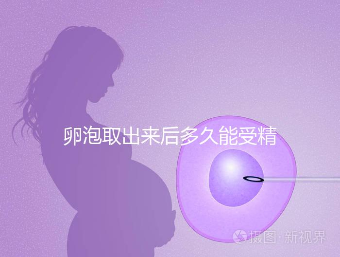 卵泡取出來后多久能受精做試管來瞧，想移植請算好時(shí)間