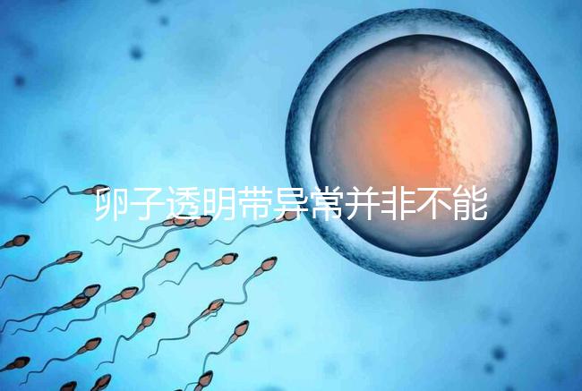 卵子透明帶異常并非不能治療好，你不知道的終極解決方法！