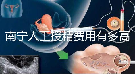 南寧人工授精費用有多高?各家醫院收費標準表給你答案