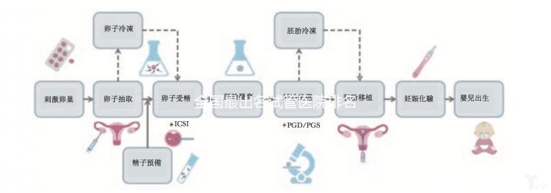 全國最出名試管醫(yī)院排名前5，內(nèi)附試管費用及成功率一覽