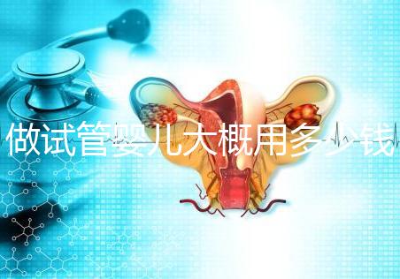 做試管嬰兒大概用多少錢，做試管嬰兒一般需要多少錢