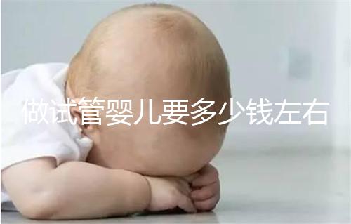 做試管嬰兒要多少錢左右？