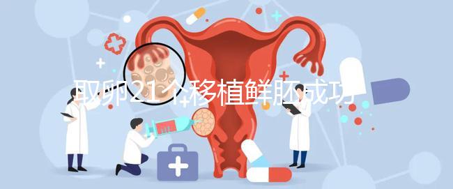 取卵21個移植鮮胚成功率真不低，前提：等卵巢恢復后再手術