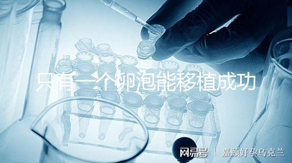 只有一個(gè)卵泡能移植成功嗎？別擔(dān)心!過來人告訴你好孕并不難