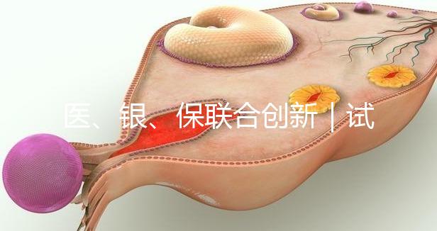 醫(yī)、銀、保聯(lián)合創(chuàng)新|試管嬰兒保險(xiǎn)套餐及銀行專(zhuān)項(xiàng)分期助孕在我院率先落地!