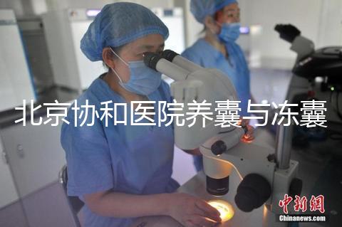北京協和醫院養囊與凍囊費用參考，做好這4點成功率上漲