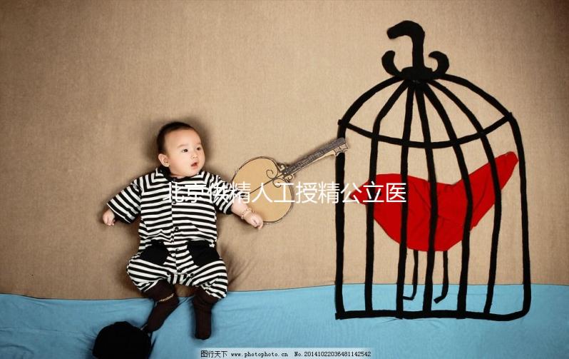 北京供精人工授精公立醫(yī)院一覽,內(nèi)含排名榜單快收藏