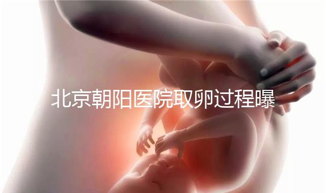 北京朝陽醫院取卵過程曝光,了解清楚可以避免胎停育