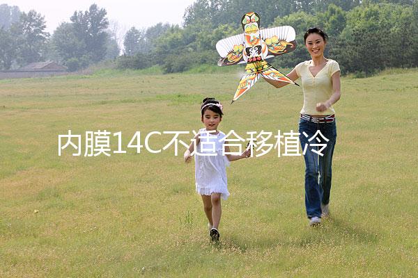 內(nèi)膜14C不適合移植冷凍胚胎要注意,不易懷孕請(qǐng)暫緩手術(shù)