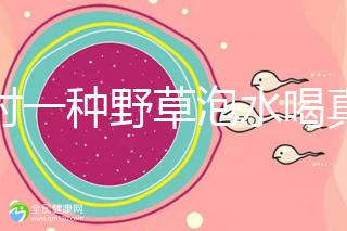 農(nóng)村一種野草泡水喝真能治便秘！配合這九種中草藥效果更好