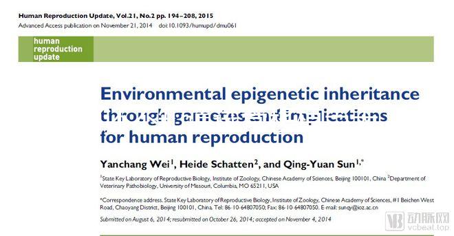 別還不知道試管移植當天打什么針容易著床，用對能更快好孕