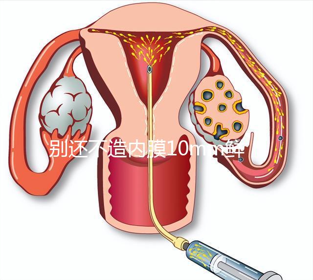 別還不造內膜10mm鮮胚容不容易著床,能否移植看這幾點