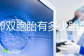 同卵雙胞胎有多少胎盤？1個(gè)or2個(gè)當(dāng)場(chǎng)講給你聽(tīng)