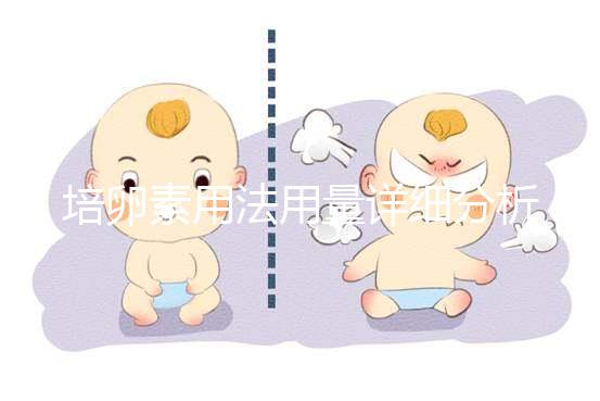 培卵素用法用量詳細分析，不同情況服用時間有差異
