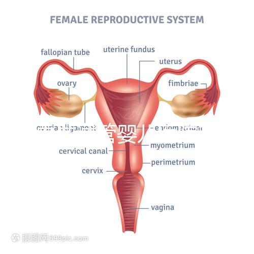 國(guó)內(nèi)做試管嬰兒醫(yī)院有哪些？附全國(guó)十大試管醫(yī)院排名