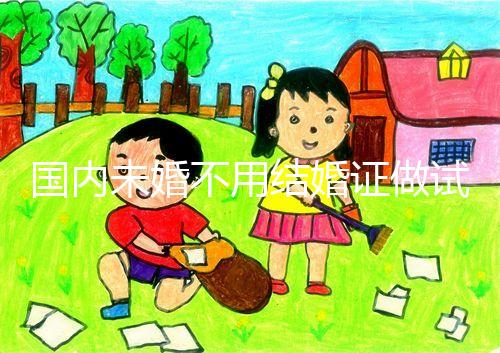 國內(nèi)未婚不用結(jié)婚證做試管機(jī)構(gòu)都有哪些?