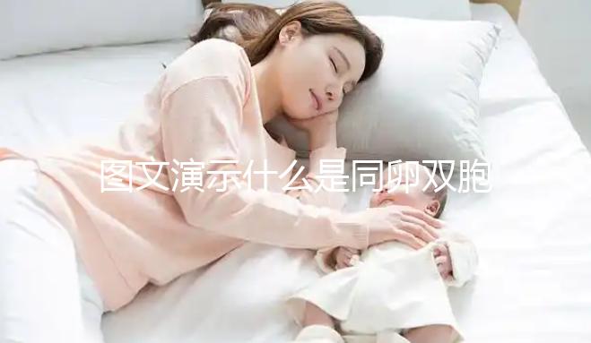 圖文演示什么是同卵雙胞胎，和異卵雙胞胎有3大區別