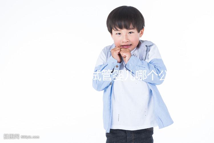 在北京做試管嬰兒哪個公立醫(yī)院好?揭秘北京十大知名試管名單