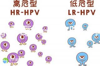 體育場(chǎng)每天開(kāi)放嗎（體育場(chǎng)每天開(kāi)放嗎現(xiàn)在）