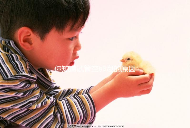 你知道試管空卵泡的原因和癥狀是否會消失嗎?