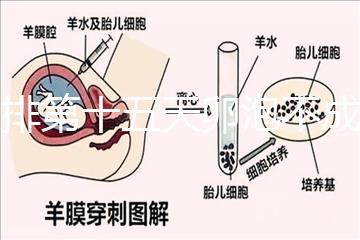 促排第十五天卵泡不成熟還可以治療！1.2等幾天就能長大