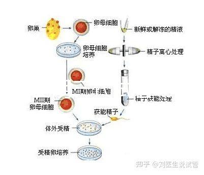 云南昆明三代試管助孕費用貴不貴呢？三代試管懷孕費用參考表！