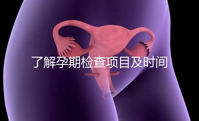 了解孕期檢查項目及時間表2024年10個月的產(chǎn)前檢查順序