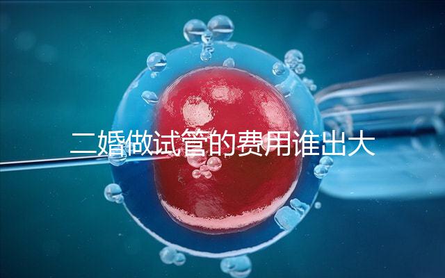 二婚做試管的費用誰出大揭秘！總共要花多少錢清清楚楚！