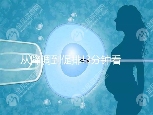 從降調(diào)到促排!3分鐘看完試管嬰兒長(zhǎng)方案流程步驟