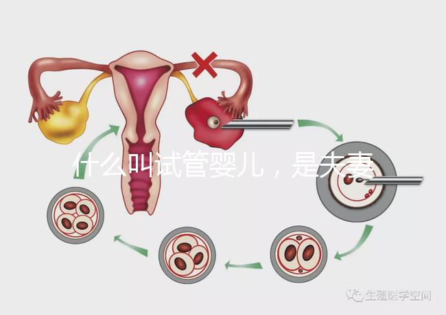 什么叫試管嬰兒，是夫妻親生的嗎？