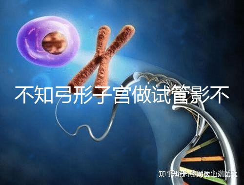 不知弓形子宮做試管影不影響移植速覽，有多危險趁早了解