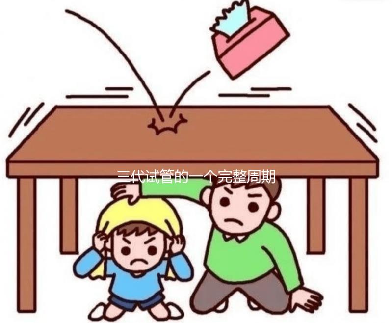 三代試管的一個完整周期包含哪些內容？