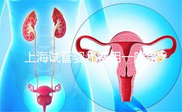 上海試管嬰兒費用一般是多少?2025年費用明細全解析、各技術方案價格對比與科學省錢全指南