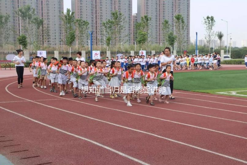 想知道當歸是否能促進卵泡發育,加入棗也能補充內膜