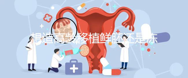 想造高齡移植鮮胚還是凍胚好請進，關鍵看身體適不適合