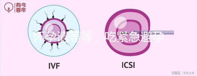 懷孕請(qǐng)等等,吃緊急避孕藥多久能有性生活看專家怎么說(shuō)