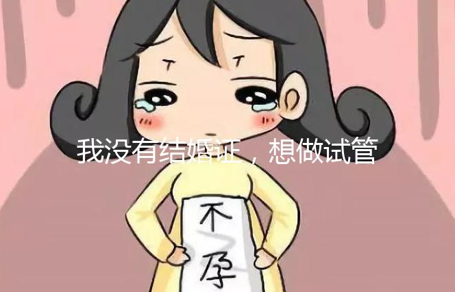 我沒有結(jié)婚證，想做試管嬰兒，可以做嗎？