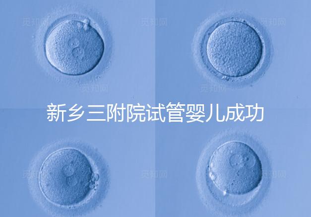 新鄉三附院試管嬰兒成功率參考，4大真實案例分享助孕體驗
