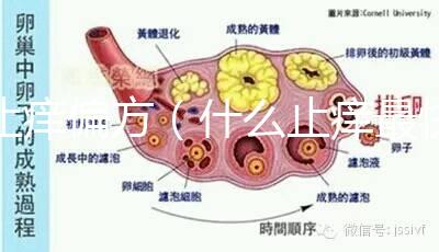 止癢偏方(什么止癢最快效果最好)